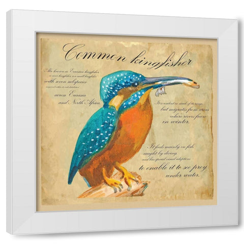 Common Kingfisher White Modern Wood Framed Art Print by Kuco