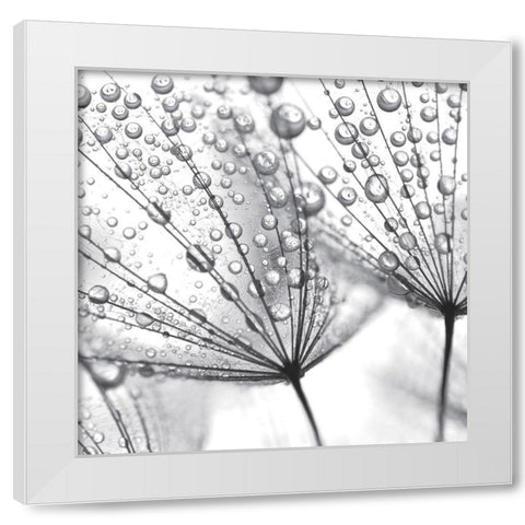 Delicate Wisps II White Modern Wood Framed Art Print by Anonymous