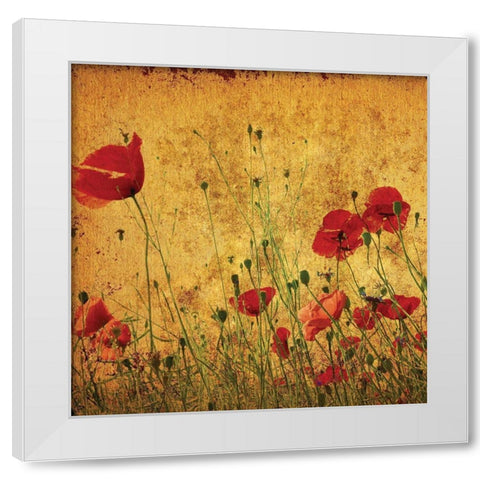 Field of Poppies White Modern Wood Framed Art Print by Anonymous