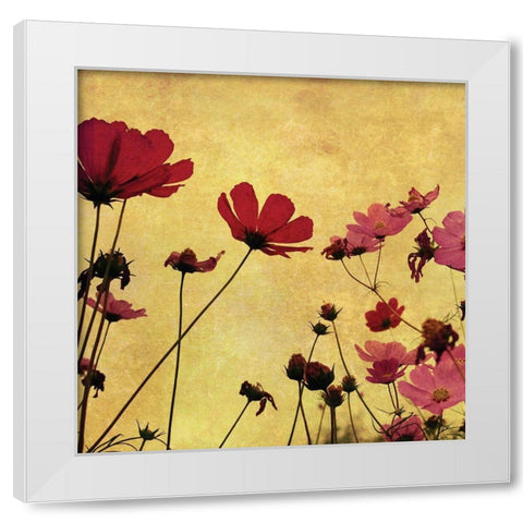 Country Poppies White Modern Wood Framed Art Print by Anonymous