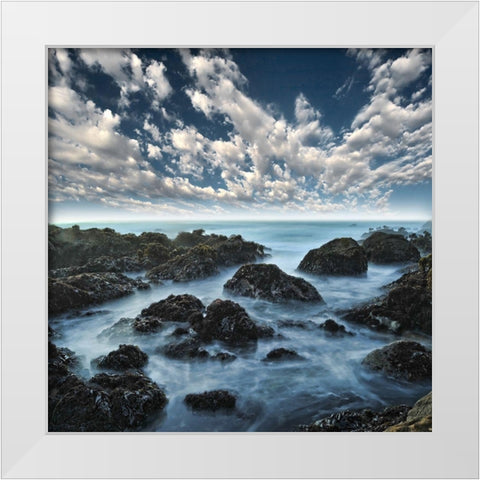 Ocean Seatide I, Color White Modern Wood Framed Art Print by Anonymous