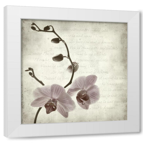 Retro Orchid White Modern Wood Framed Art Print by Anonymous