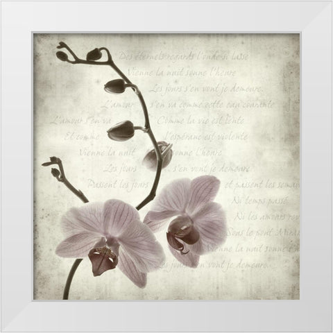 Retro Orchid White Modern Wood Framed Art Print by Anonymous