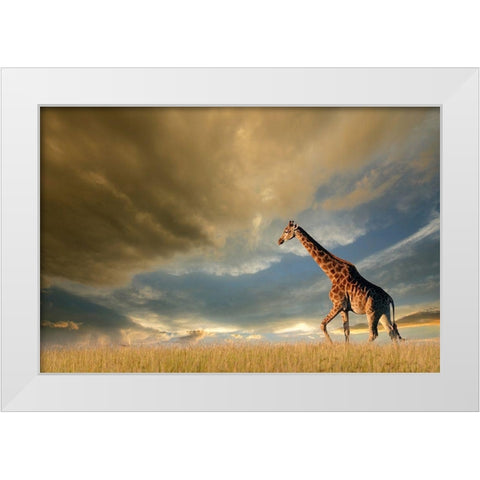 Giraffes, African Skies White Modern Wood Framed Art Print by Anonymous