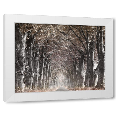 Down The Country Road White Modern Wood Framed Art Print by Anonymous