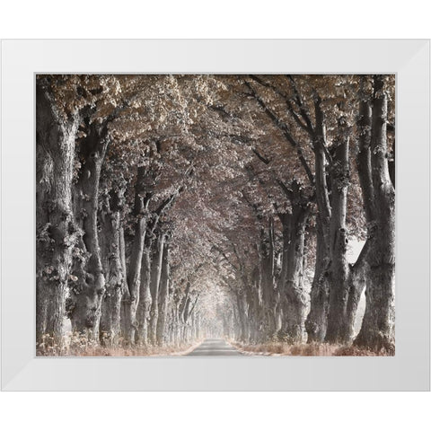 Down The Country Road White Modern Wood Framed Art Print by Anonymous