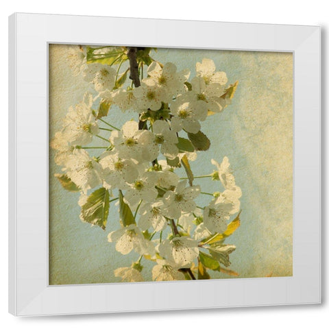 Spring Bloom White Modern Wood Framed Art Print by Anonymous