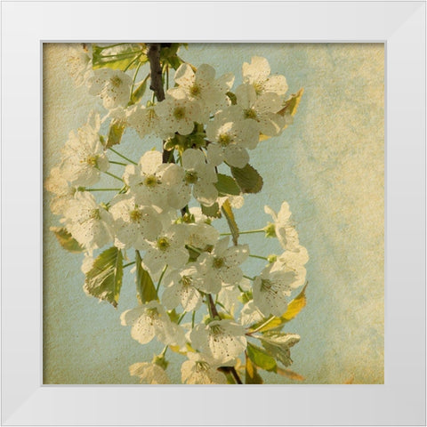 Spring Bloom White Modern Wood Framed Art Print by Anonymous