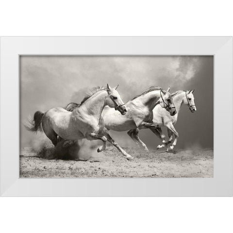 White Stallions II White Modern Wood Framed Art Print by Anonymous