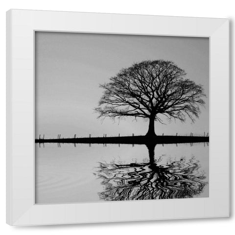 Shimmering Oak White Modern Wood Framed Art Print by Anonymous