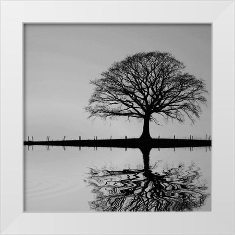 Shimmering Oak White Modern Wood Framed Art Print by Anonymous