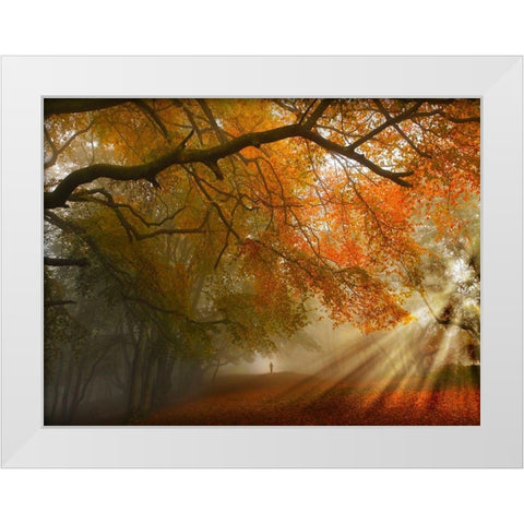 Sunburst Woods White Modern Wood Framed Art Print by Critchley