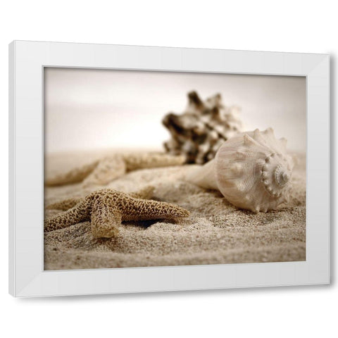 Seashells in the Sand White Modern Wood Framed Art Print by Cunningham, S.