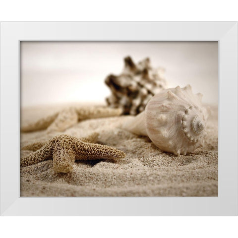 Seashells in the Sand White Modern Wood Framed Art Print by Cunningham, S.