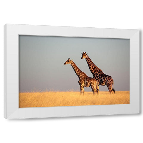 African Skies II White Modern Wood Framed Art Print by Anonymous
