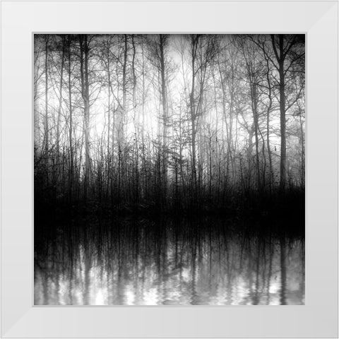 Forest Mist White Modern Wood Framed Art Print by Anonymous
