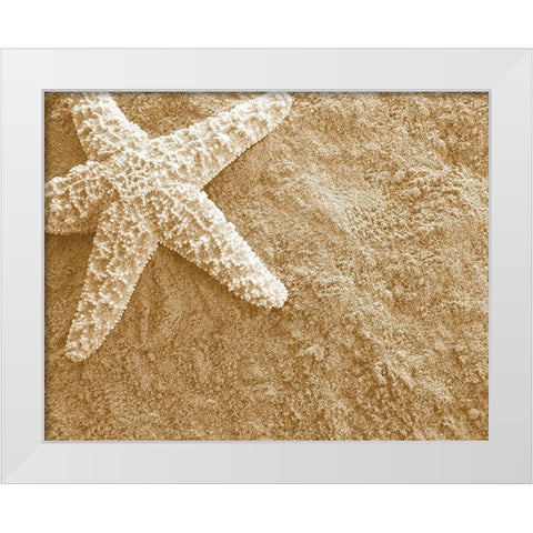 Starfish in the Sand White Modern Wood Framed Art Print by Anonymous
