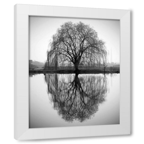 Majestic Willow White Modern Wood Framed Art Print by Anonymous