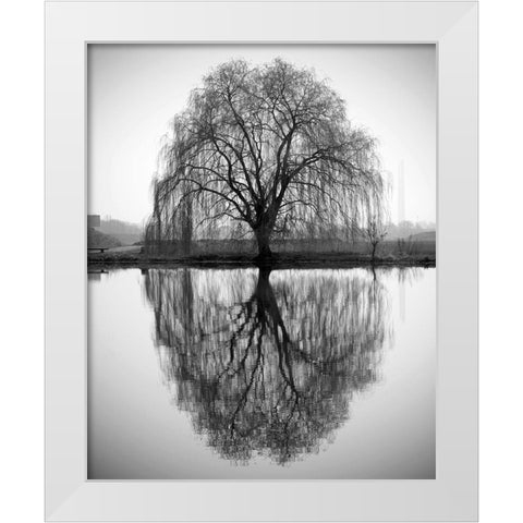 Majestic Willow White Modern Wood Framed Art Print by Anonymous