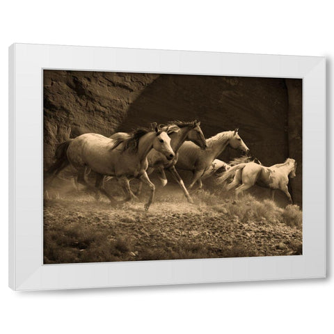 Wild Horses II White Modern Wood Framed Art Print by Anonymous