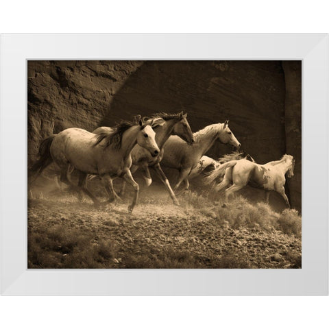 Wild Horses II White Modern Wood Framed Art Print by Anonymous