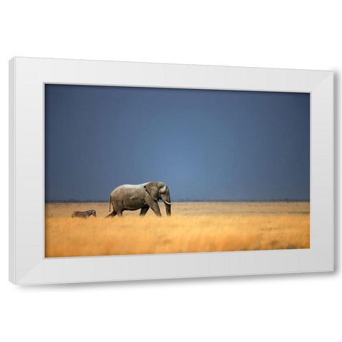 Follow the Leader White Modern Wood Framed Art Print by Gerhardus