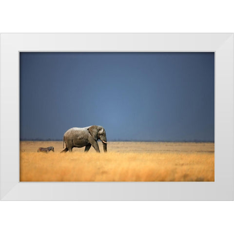 Follow the Leader White Modern Wood Framed Art Print by Gerhardus