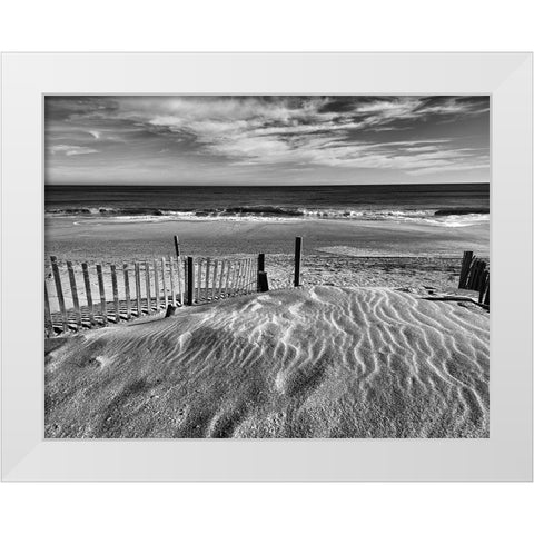 Pathway White Modern Wood Framed Art Print by Turek, Eve