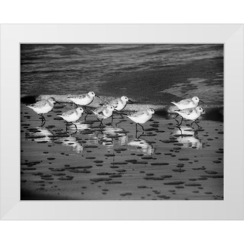 Family Reunion White Modern Wood Framed Art Print by Turek, Eve