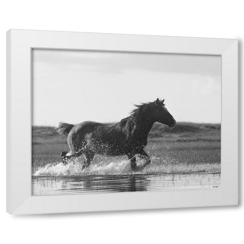 Run Like the Wind White Modern Wood Framed Art Print by Turek, Eve