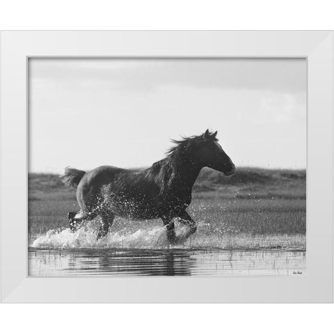 Run Like the Wind White Modern Wood Framed Art Print by Turek, Eve