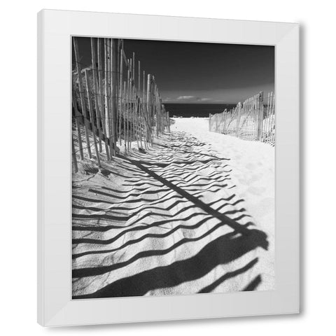 Shadowed Pathway White Modern Wood Framed Art Print by Anonymous