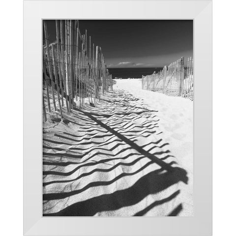 Shadowed Pathway White Modern Wood Framed Art Print by Anonymous