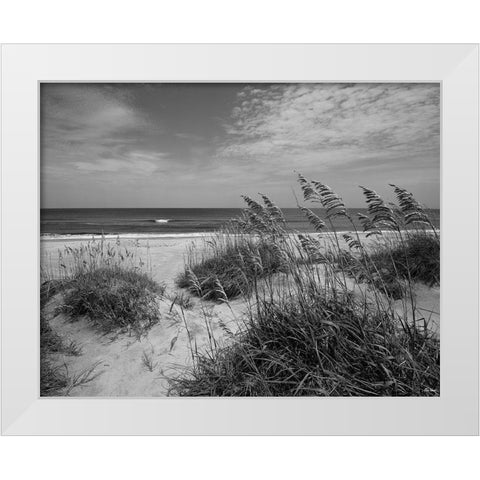 The Blessing Place White Modern Wood Framed Art Print by Turek, Eve