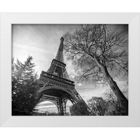 Eiffel Tower with Tree White Modern Wood Framed Art Print by Graciet, Stephane