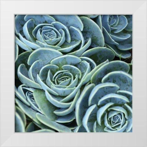 Blue Green Flora White Modern Wood Framed Art Print by Linjerry