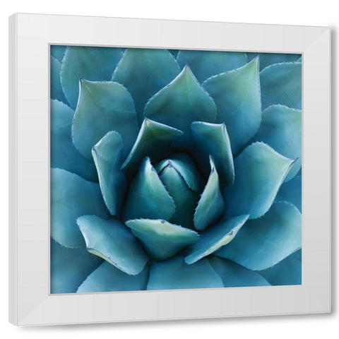 Southwest Beauty White Modern Wood Framed Art Print by Hennigan