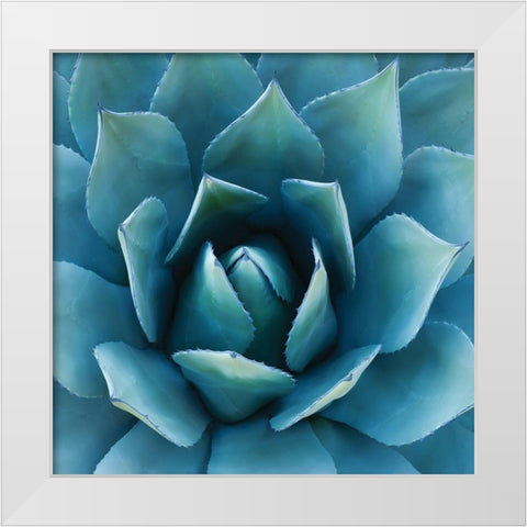 Southwest Beauty White Modern Wood Framed Art Print by Hennigan