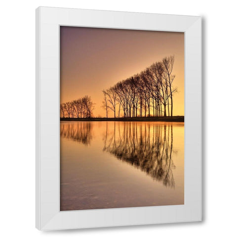 Reflections White Modern Wood Framed Art Print by Anonymous