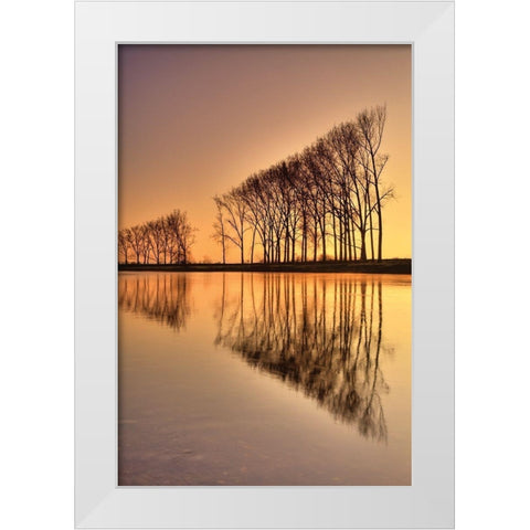 Reflections White Modern Wood Framed Art Print by Anonymous
