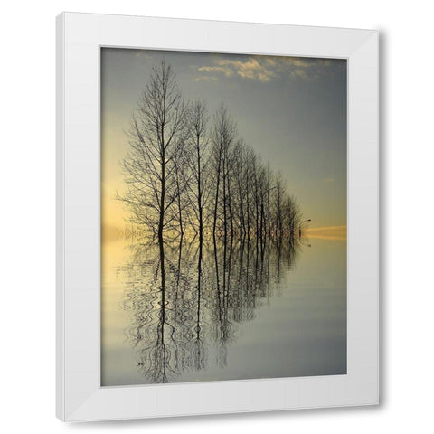 Reflections II White Modern Wood Framed Art Print by Anonymous