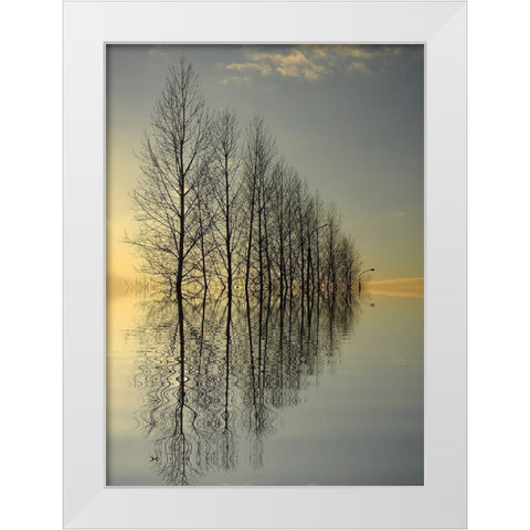 Reflections II White Modern Wood Framed Art Print by Anonymous