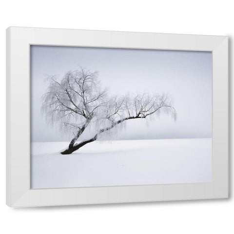 Solitude White Modern Wood Framed Art Print by Anonymous