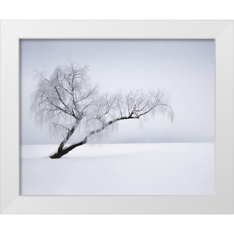 Solitude White Modern Wood Framed Art Print by Anonymous