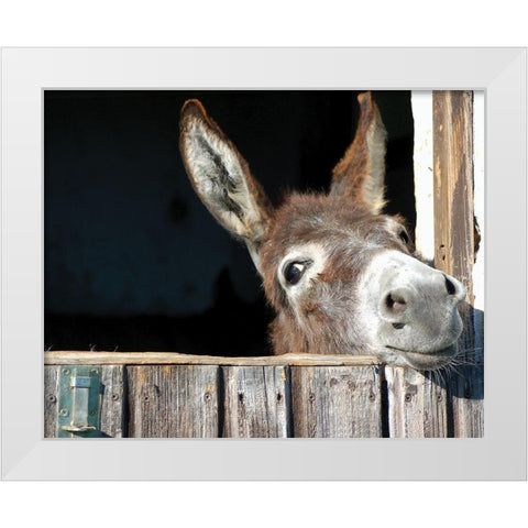 Whos There? White Modern Wood Framed Art Print by Hawlan