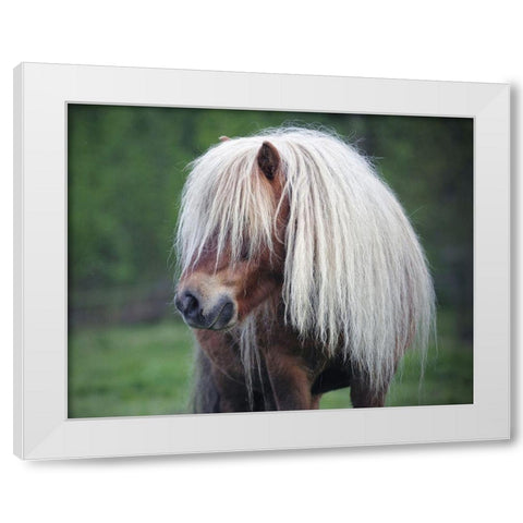 Little Pony White Modern Wood Framed Art Print by Anonymous