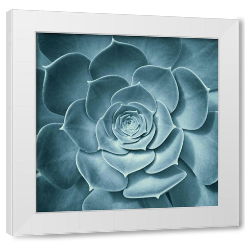Symmetrical Flora White Modern Wood Framed Art Print by Spiler