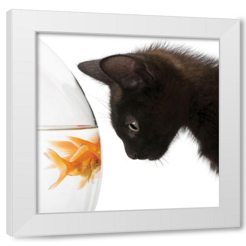 Penny for Your Thoughts White Modern Wood Framed Art Print by Anonymous