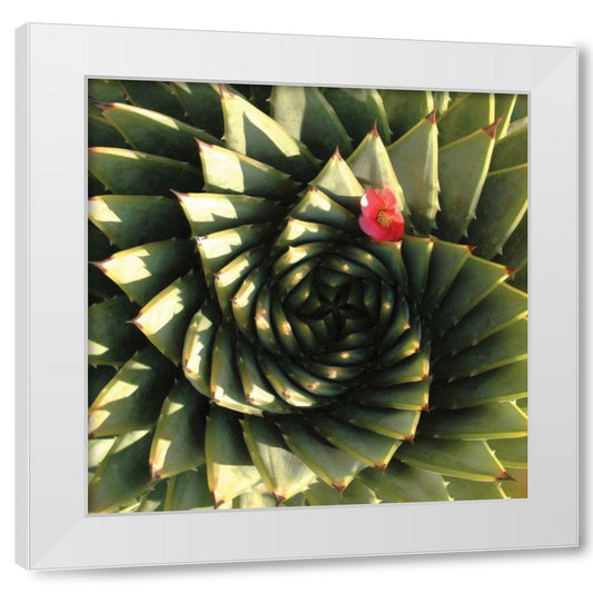 Perspective Image