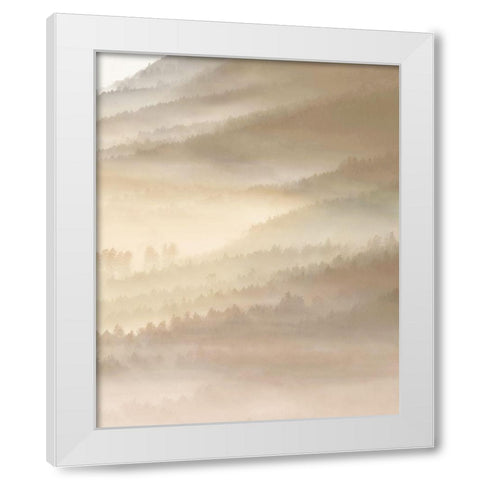 Fog Valley Il. White Modern Wood Framed Art Print by Herzog